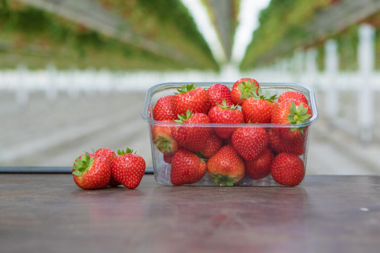 Genson aardbeien